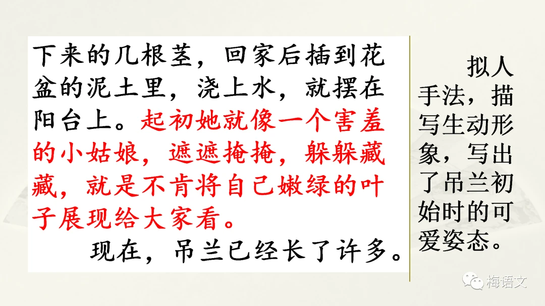 如何安排篮球主力的赛季前训练_0